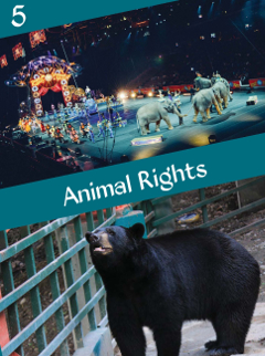 A5_Animal_Rights