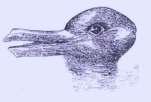 DuckRabbit