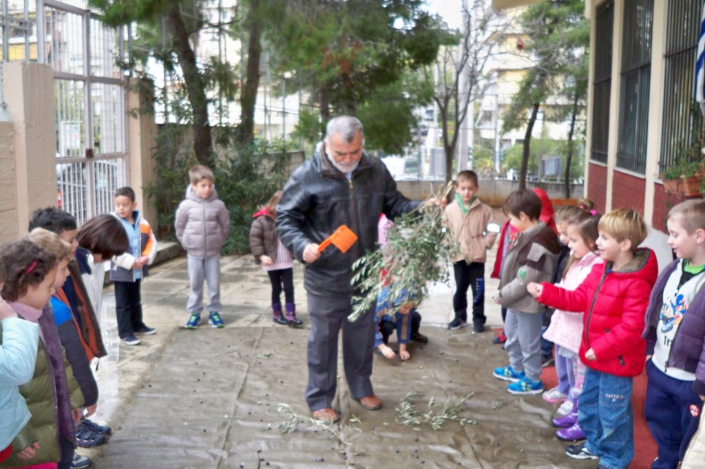 Χτενίζει το κλωνάρι για να πέσουν όλες οι ελίτσες....