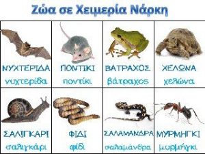 σε χειμ. ναρκη1