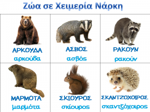 σε χειμ. ναρκη2