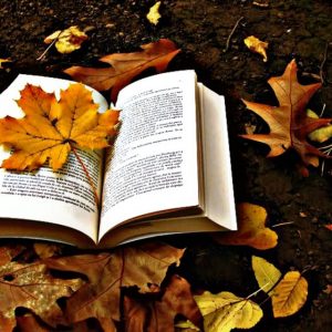 books autumn general1 640x640