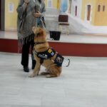 εικόνα Viber 2023 12 11 19 34 24 205