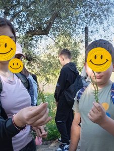 IMG 20250408 173439