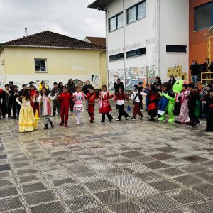IMG 8833