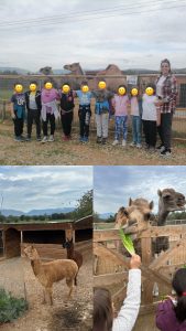 7569502D 459F 4F14 931C 5113319528D8