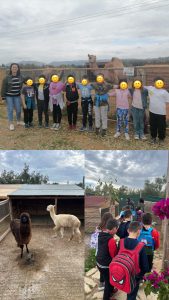 C1ED77E2 68F8 41E3 B0A5 0232EB89952E