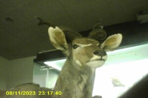 PICT0096