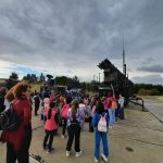 processed ccf18f98 d9c8 49d4 9c9f 6179768f5b2c Fo27w7am