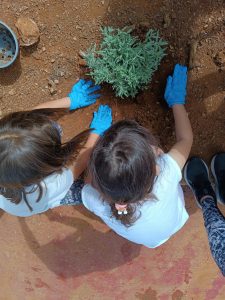 26e6279e 00c6 4a44 8702 9a81b89adc06