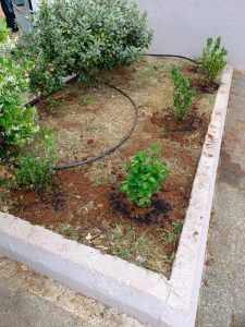 6552c39b 704a 407c 8f74 c8f697971249