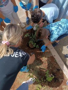 b71506d6 de49 4b69 b69b e387d89c1e9c