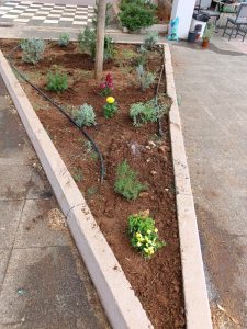 ebc31928 7b09 462c 8414 d746162a9d6d