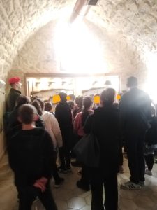 IMG 20231129 094710