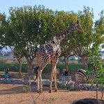 0 02 05 0f40d13e451667b786abf5223bce6a26426d19d6eb90f315b83bf9459c19639c 55d4251fdcc40d4d