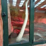 0 02 05 6fd467e67ce9da82739e9e03dddecaaa13a99108ef595955c9601791f5b61673 a21e38cc8fc3580d