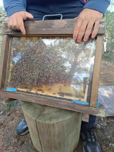 4fa9a95e c112 4128 81d6 bb7f7af776a0