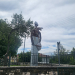 image7 2