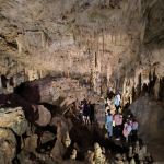image4