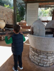 IMG 20250310 115859