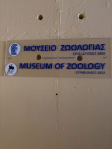 IMG 5897 1