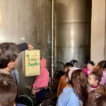 Facetune 24 01 2025 11 23 52