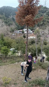 IMG 20260329 121553 424
