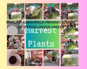 InkedHarvest Plants Pinelopi Karampela 1