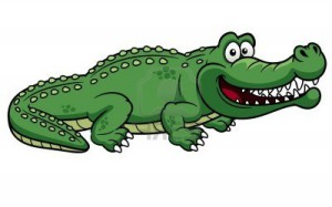 crocodile1