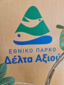 δελτα7