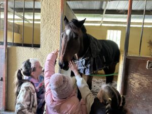 ΚΑΔΜΟΣ ΕΚΠΑΙΔΕΥΤΙΚΗ ΕΠΙΣΚΕΨΗ