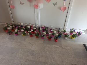 IMG 20250509 121431