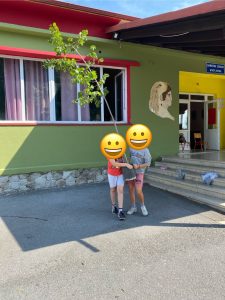 IMG 4582