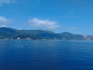 THASOS 6