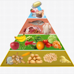 mtpc d02 food pyramid own 150x150 1