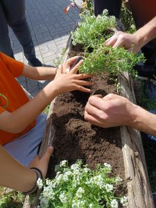 30ae329f 4d75 455b bd6a 9d0768d587c9