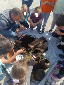 deaa4c1e f14d 49c7 9ff9 01339c00219e