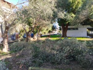 WhatsApp Image 2025 01 17 at 22.26.12