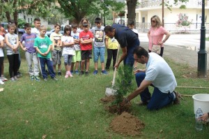 Ημέρα_περιβάλλοντος_15