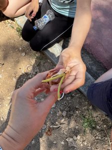 IMG 2019
