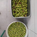 IMG 20241007 115841