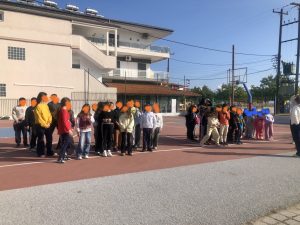IMG 7646