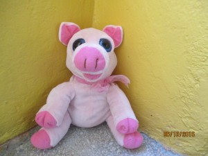 Miss Piggy - A and B Class Mascot