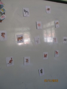 Animal Bingo - Primary School of Sourpi