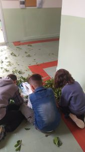 0 02 05 cfa3394d8548905e95d9f9f6e9fe9d9c515a33d9187fe29e4df140642732c644 a86814ab1ca818da