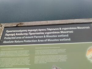 IMG_20170209_103846