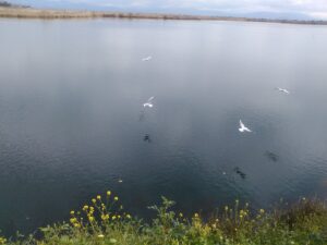 IMG_20170209_104154