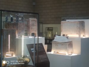 IMG 20230330 104743