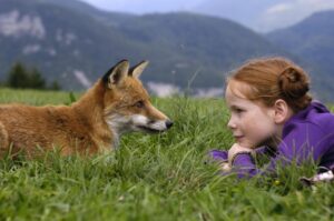 4.Le renard et lenfant 1