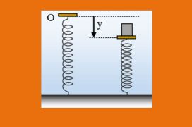ρ1